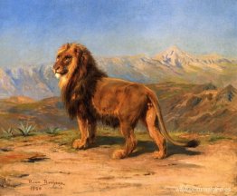 León en un paisaje montañoso León en un paisaje montañoso