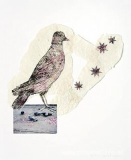 Aves con estrellas Aves con estrellas