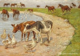 El gran embalse de Saltholm El gran embalse de Saltholm