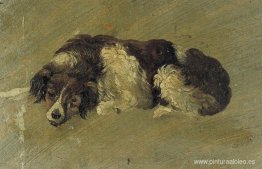 un perro un perro