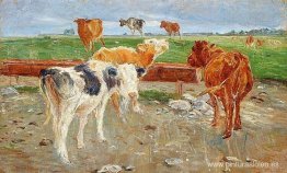 Vacas cerca del pozo en Gammelgaard, Saltholm Vacas cerca del pozo en Gammelgaard, Saltholm