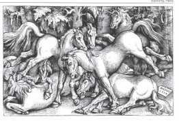 Grupo de siete caballos salvajes Grupo de siete caballos salvajes