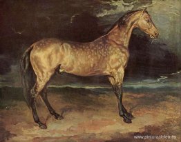 Caballo en la tormenta Caballo en la tormenta