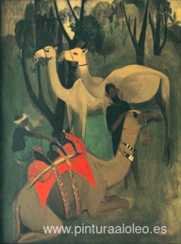 camellos camellos