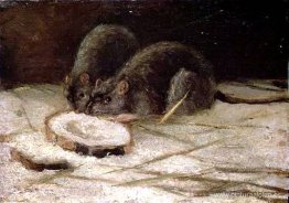 dos ratas dos ratas