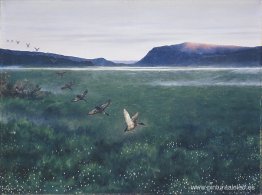 Los 12 patos salvajes 12 villender Los 12 patos salvajes 12 villender