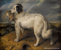 el campeon el campeon