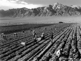 Granja, trabajadores agrícolas, Mt. Williamson al fondo, Centro Granja, trabajadores agrícolas, Mt. Williamson al fondo, Centro