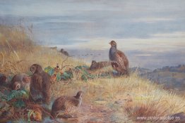 La ensenada al amanecer La ensenada al amanecer