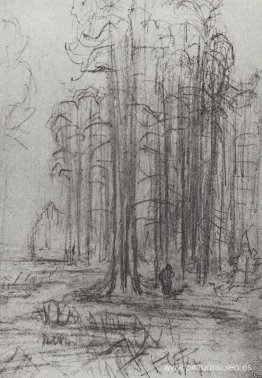 paisaje forestal paisaje forestal