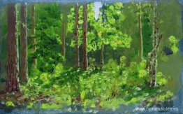 Bosque Bosque