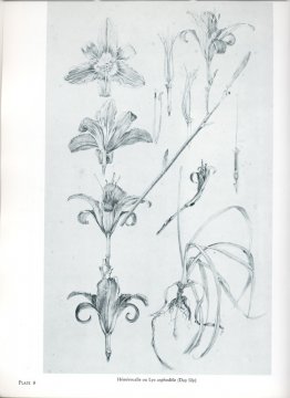 no detectado no detectado