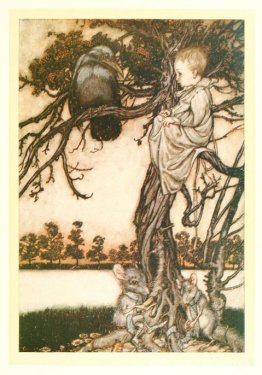 Presenta su extraño caso ante el viejo Solomon Caw. Presenta su extraño caso ante el viejo Solomon Caw.