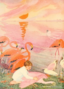 Un niño perdido Un niño perdido