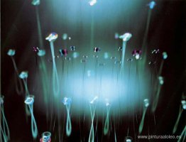 Doble difracción Doble difracción