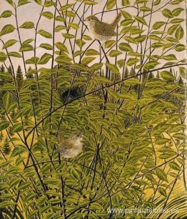 Zaunkönigpaar (Hagschlüpferli) Zaunkönigpaar (Hagschlüpferli)