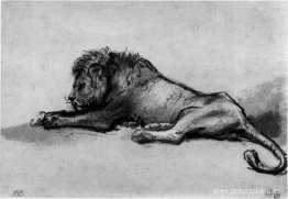 león descansando león descansando