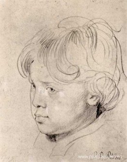 nicolas rubens nicolas rubens