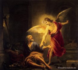 Liberación de San Pedro Liberación de San Pedro