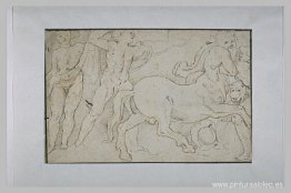 Batalla de centauros y griegos Batalla de centauros y griegos