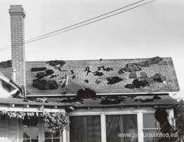 toda mi ropa toda mi ropa