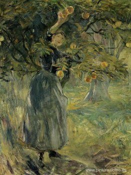 El recolector de naranjas El recolector de naranjas