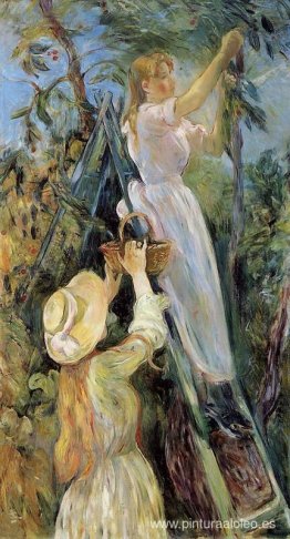 El recolector de cerezas El recolector de cerezas