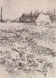 paisaje con cabaña en la camarga