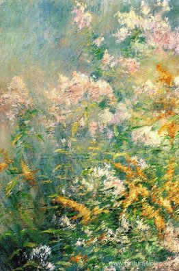 Flores de pradera (vara de oro y aster silvestre)