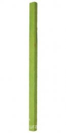 Monocromo verde sin título