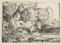 el toro