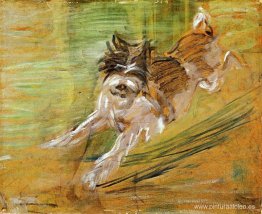 Perro saltador Schlick
