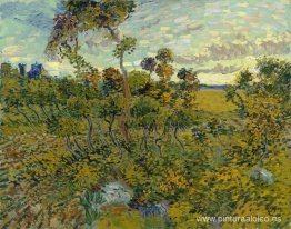 Atardecer en Montmajour