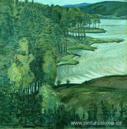 Finlandia. Punky Harju.
