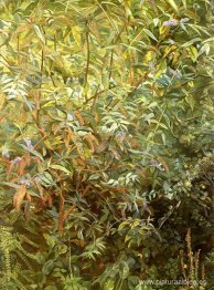 Jardín, Puerta de Notting Hill