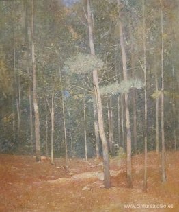 Paisaje