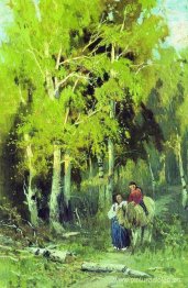Camino a través de un Birchwood