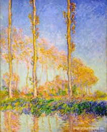 Álamos, Otoño, Efecto Rosa