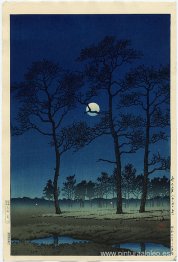 Luna de invierno sobre la llanura de Toyama