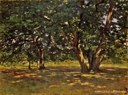 Bosque de Fontainebleau