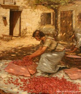 Embalaje de cerezas en Provenza, Francia
