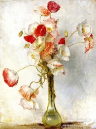 amapolas