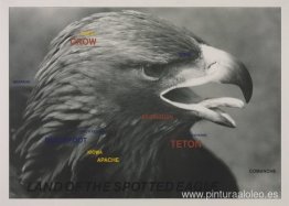 Tierra del águila moteada