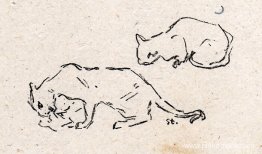 Gatos juguetones