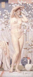 una venus