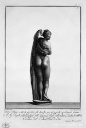 Venus Calipigia