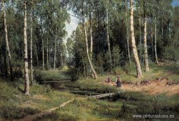 En el bosque de abedules