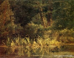 Escena del río con golondrinas