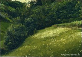 Campo en Asturias