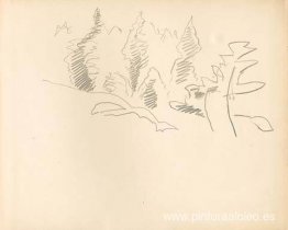 Monhegan (estudio)